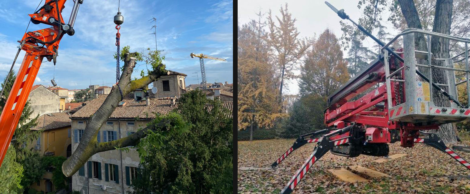 Perizie Fitosanitarie a Parma